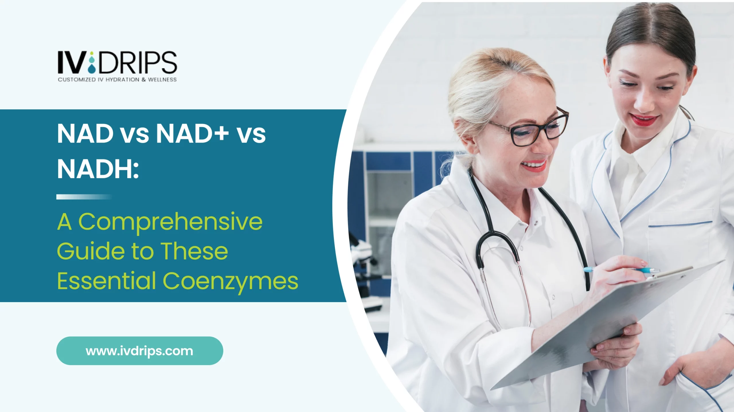 NAD vs NAD+ vs NADH: A Comprehensive Guide to These Essential Coenzymes ...