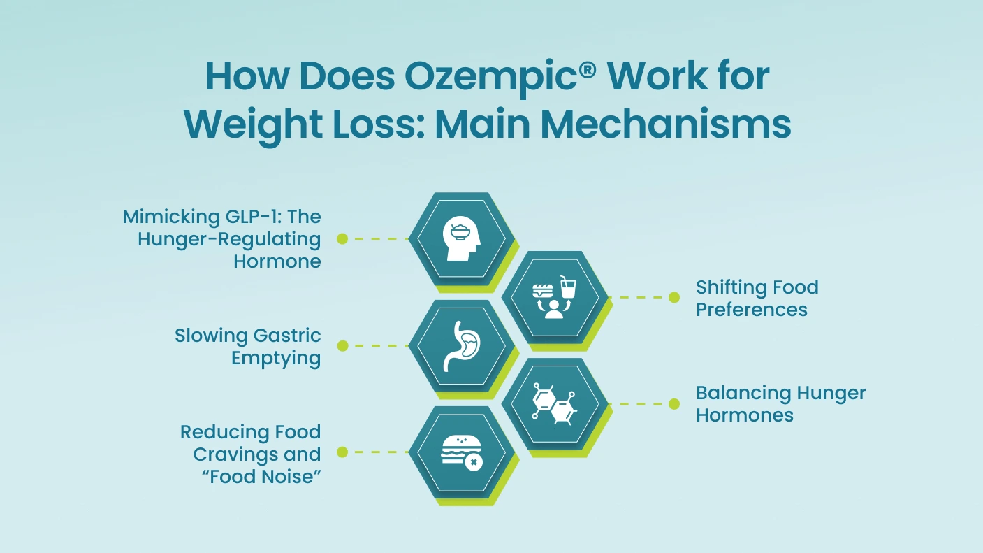 How Does Ozempic® Work for Weight Loss Main Mechanisms