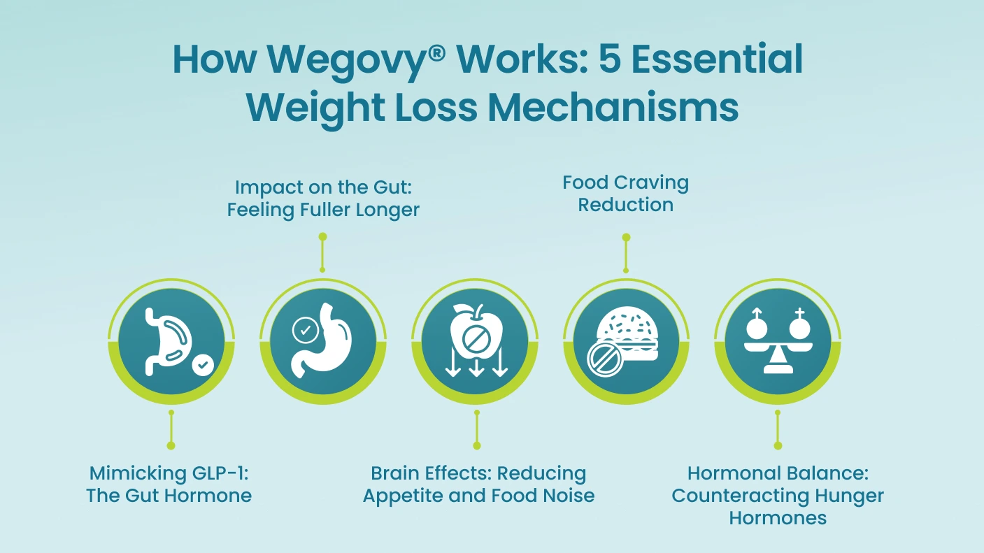 How Wegovy® Works_ 5 Essential Weight Loss Mechanisms 