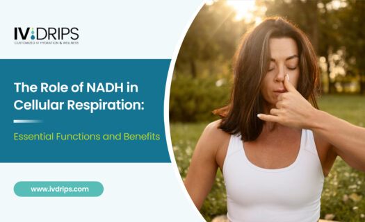 The Role of NADH in Cellular Respiration_ Essential Functions and Benefits