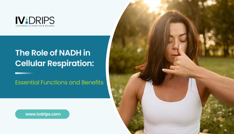 The Role of NADH in Cellular Respiration_ Essential Functions and Benefits